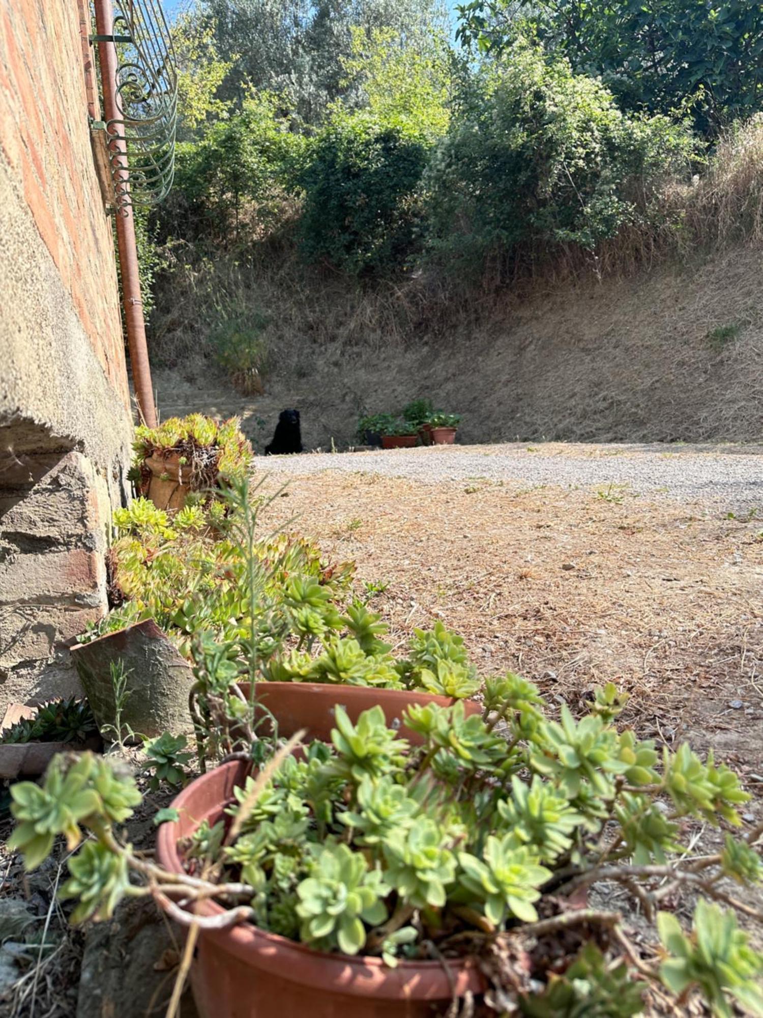 فيلا Agriturismo San Biagio Montepulciano Stazione المظهر الخارجي الصورة