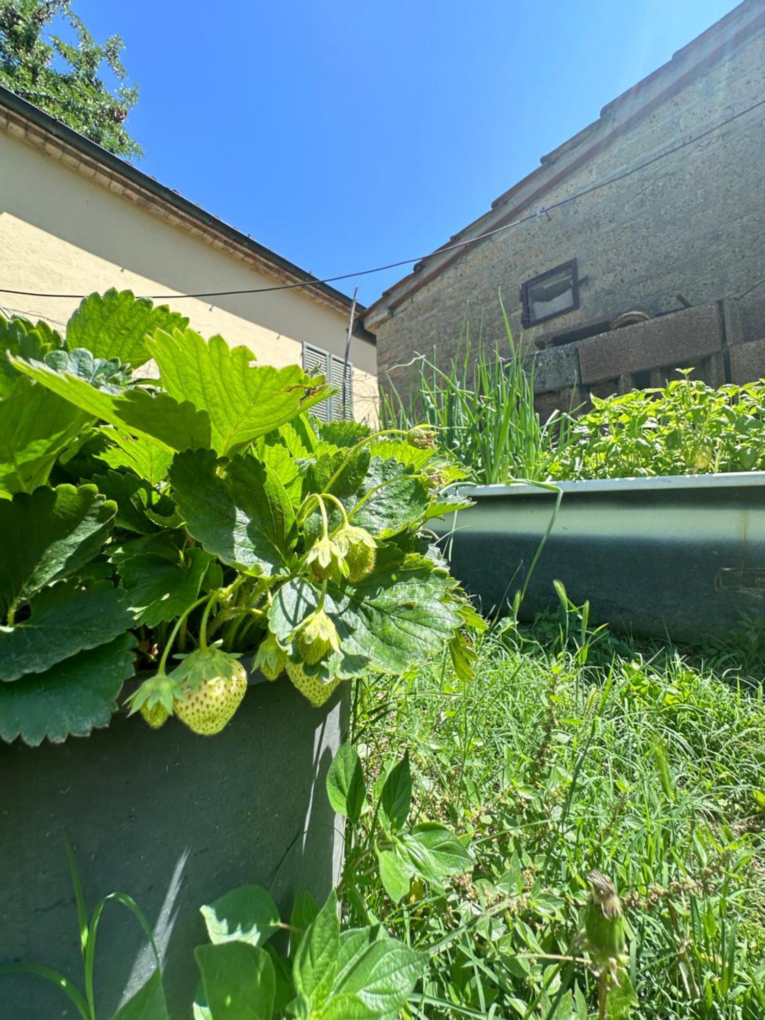 فيلا Agriturismo San Biagio Montepulciano Stazione المظهر الخارجي الصورة