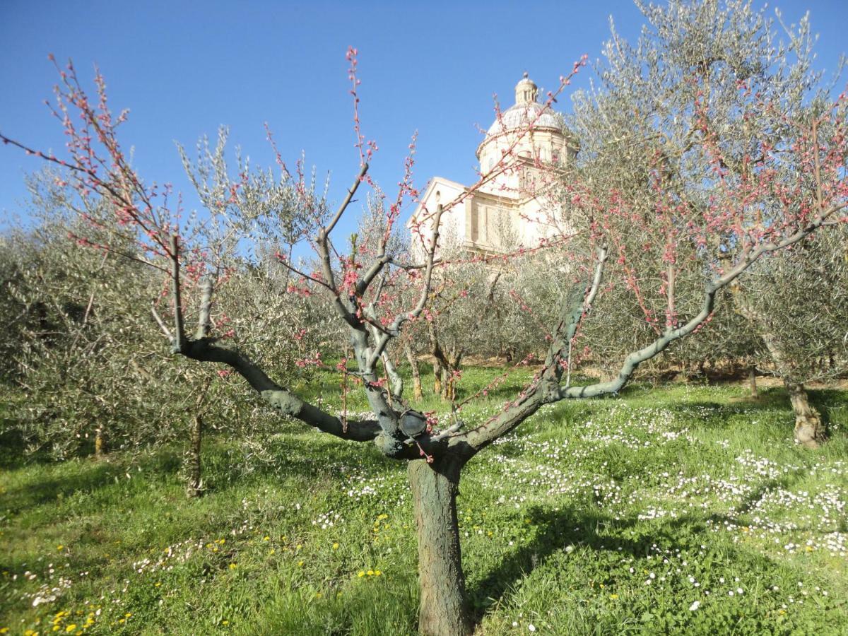 فيلا Agriturismo San Biagio Montepulciano Stazione المظهر الخارجي الصورة